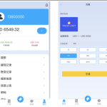 2024全新多语言海外抢单刷单系统源码