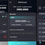 2024新版H5打包版双语言虚拟USDT支付系统源码