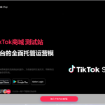 tiktok商城 + 落地页源码搭建教程