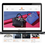 阿狸子订单管理系统豪华版商城前台程序+会员模块+分销模块+多套单页模板[支持多个支付接口]