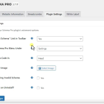 独立站结构化插件Schema Pro实现谷歌搜索结果SERP富媒体显示