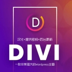 Divi 4.14.5 包含key密匙 WP主题企业中文模板自适应简约科技支持SEO