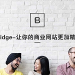 Bridge汉化主题 响应式拖拽编辑的html5响应式网站模板 wordpress主题