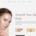 Creamz – 美容院和水疗中心 WooCommerce