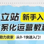 独立站新手入门体系化运营教程，助力独立站卖家从0-1快速入门!