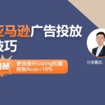 亚马逊广告投放技巧详解底层原理课程