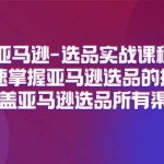 快速掌握亚马逊选品的技巧