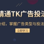 精通TK广告投流底层逻辑
