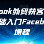 Facebook外贸获客产品出海，0基础入门