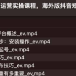 Tiktok运营实操课程，海外版抖音短视频直播带货最新